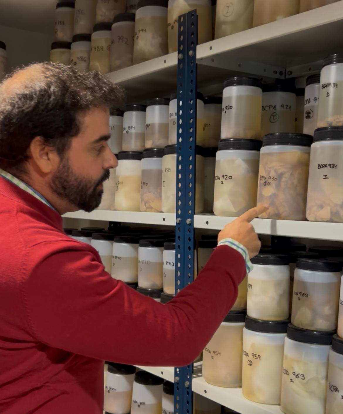 Una resonancia magnética convencional podría ayudar a valorar el estado de las conexiones cerebrales clave para la memoria y la atención